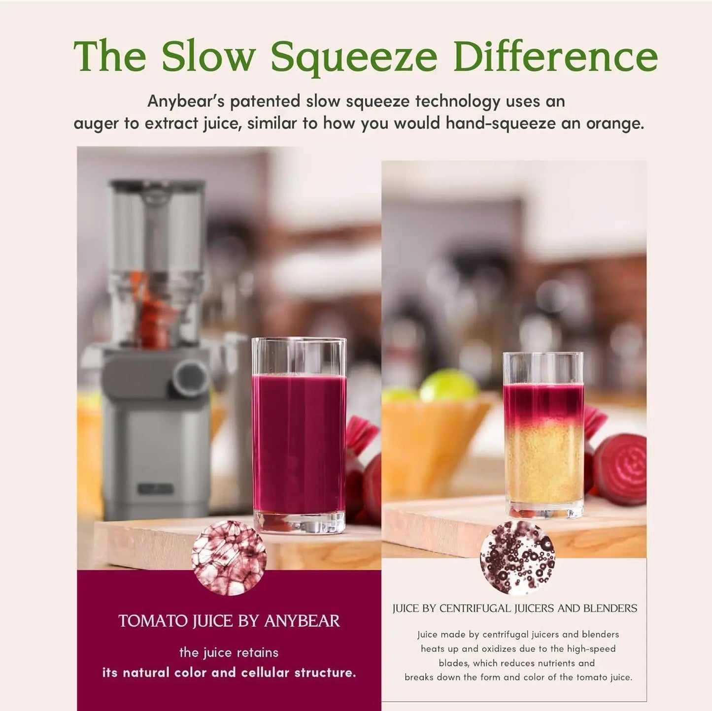 XMSJ Cold PrJuicer 200W Masticating Slow Juicer For Whole Fruits