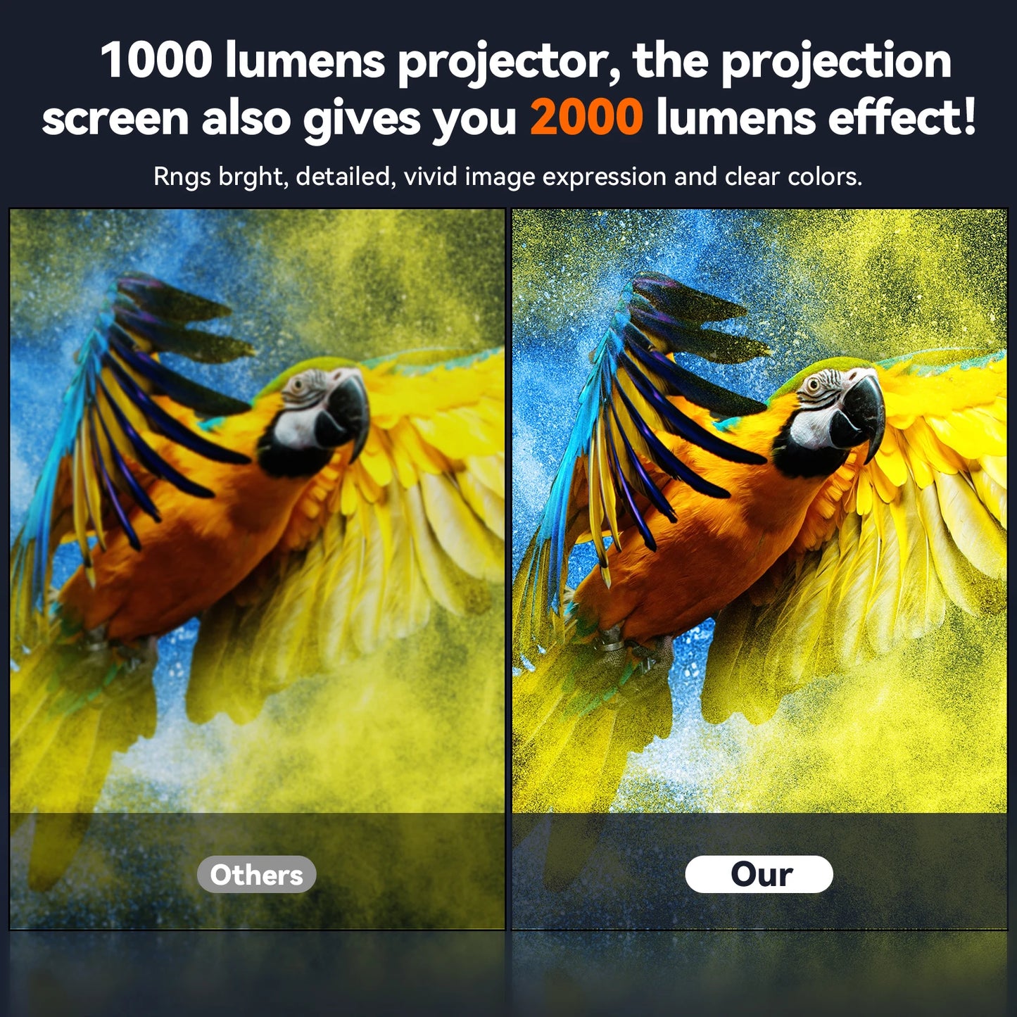 Xiaohui Anti Light Thick HD Projector Screen Wall Mount