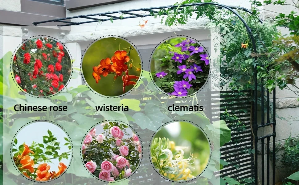 Half Sided Arch Trellis Garden Arch Arbor for Climbing Plants