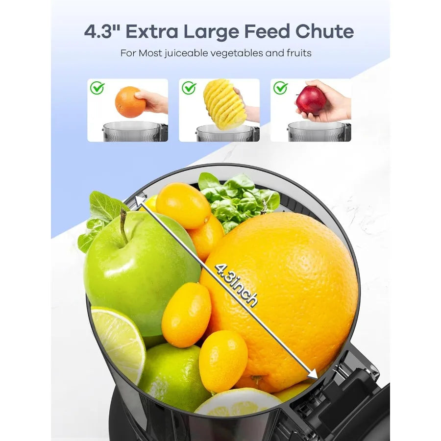 MDNG Slow Masticating Juicer With Large Feed Chute Cold Press